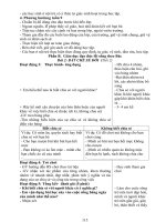 giáo án lớp 3 học kì 1 tuần 2 đến 10 có nội dung dạy học buổi 2 phân hóa chi tiết từng đối tượng.