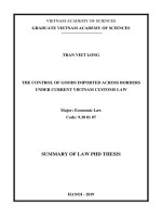 Kiểm soát hàng hóa nhập khẩu qua biên giới theo pháp luật hải quan ở việt nam hiện nay tt tiếng anh