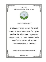 Khảo sát khả năng ức chế enzym tyrosinase của dịch nuôi cấy nấm mốc Aspergillus oryzae (Ahlb.) E.Cohn trong môi trường chứa chè xanh Camellia sinensis (L.) Kuntze