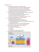 ĐỀ dược lý y13 copy (1) 