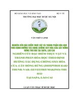 NGHIÊN cứu đặc điểm THỰC vật và THÀNH PHẦN hóa HỌCTHEO ĐỊNH HƯỚNG tác DỤNG CHỐNG OXY hóa của cây HỒNGRỪNG THU hái tại SAPA, lào CAI 