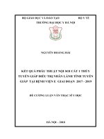 KẾT QUẢ PHẪU THUẬT nội SOI cắt 1 THÙY TUYẾN GIÁP điều TRỊ NHÂN LÀNH TÍNH TUYẾN GIÁP  tại BỆNH VIỆN e  GIAI đoạn  2017   2019 