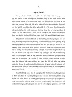 Nghiên cứu phẫu thuật ghép giác mạc trên mắt đã được tái tạo bề mặt nhãn cầu sau bỏng (Luận án tiến sĩ)