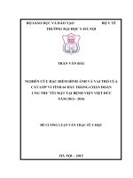 NGHIÊN cứu đặc điểm HÌNH ẢNH và VAI TRÒ của cắt lớp VI TÍNH 64 dãy TRONG CHẨN đoán UNG THƯ túi mật tại BỆNH VIỆN VIỆT đức năm 2013   2016 