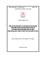 KHẢO sát đặc điểm DỊCH tế, lâm SÀNG và cận lâm SÀNG BỆNH NHÂN LUPUS BAN đỏ đến KHÁM và điều TRỊ tại PHÒNG KHÁM dị ỨNG MIỄN DỊCH lâm SÀNG, BỆNH VIỆN đại học y dược TP HCMTỪ 0172018 đến 0172019 
