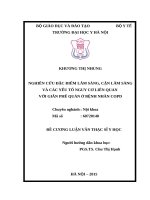 NGHIÊN cứu đặc điểm lâm SÀNG, cận lâm SÀNG và các yếu tố NGUY cơ LIÊN QUAN với GIÃN PHẾ QUẢN ở BỆNH NHÂN COPD 