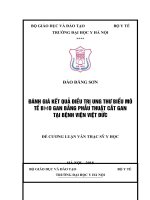 ĐÁNH GIÁ kết QUẢ điều TRỊ UNG THƯ BIỂU mô tế bào GAN BẰNG PHẪU THUẬT cắt GAN tại BỆNH VIỆN VIỆT đức 