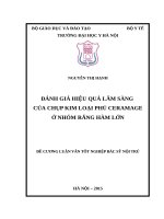 ĐÁNH GIÁ HIỆU QUẢ lâm SÀNG của CHỤP KIM LOẠI PHỦ CERAMAGE ở NHÓM RĂNG hàm lớn 