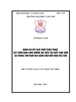 ĐÁNH GIÁ kết QUẢ PHẪU PHẪU THUẬT cắt THẦN KINH LƯNG DƯƠNG vật điều TRỊ XUẤT TINH sớm tại TRUNG tâm NAM học BỆNH VIỆN hữu NGHỊ VIỆT đức 