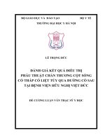 ĐÁNH GIÁ kết QUẢ điều TRỊ PHẪU THUẬT CHẤN THƯƠNG cột SỐNG cổ THẤP có LIỆT tủy QUA ĐƯỜNG cổ SAU tại BỆNH VIỆN hữu NGHỊ VIỆT đức 