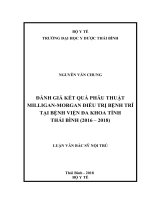 ĐÁNH GIÁ kết QUẢ PHẪU THUẬT MILLIGAN MORGAN điều TRỊ BỆNH TRĨ tại BỆNH VIỆN đa KHOA TỈNH THÁI BÌNH (2016 – 2018) 