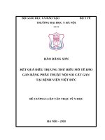 KẾT QUẢ điều TRỊ UNG THƯ BIỂU mô tế bào GAN BẰNG PHẪU THUẬT nội SOI cắt GAN tại BỆNH VIỆN VIỆT đức 
