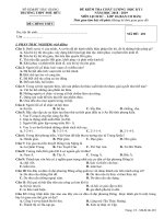 ĐỀ KIỂM TRA HỌC KỲ I MÔN LỊCH SỬ 10 MĐ401