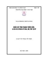 KHẢO sát TÌNH TRẠNG TRẦM cảm, LO âu và STRESS ở CHA, mẹ TRẺ tự kỷ 