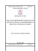 THỰC TRẠNG BỆNH sốt rét tại một số VÙNG sốt rét lưu HÀNH của TỈNH BÌNH PHƯỚC và một số yếu tố LIÊN QUAN năm 2017 