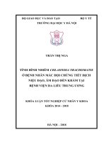 TÌNH HÌNH NHIỄM CHLAMYDIA TRACHOMATIS ở BỆNH NHÂN mắc hội CHỨNG TIẾT DỊCH  NIỆU đạo,âm đạo đến KHÁM tại BỆNH VIỆN DA LIỄU TRUNG ƯƠNG 