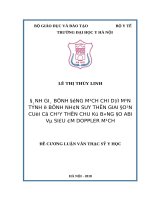 ĐÁNH GIÁ BỆNH ĐỘNG MẠCH CHI dưới mạn TÍNH ở BỆNH NHÂN SUY THẬN GIAI đoạn CUỐI có CHẠY THẬN CHU kỳ BẰNG đo ABI và SIÊU âm DOPPLER MẠCH 