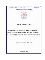 NGHIÊN cứu một số đặc điểm GIẢI PHẪU BỆNH và HOÁ mô MIỄN DỊCH của u mô đệm dạ dày RUỘT NGUYÊN PHÁT ĐƯỜNG TIÊU HOÁ 