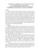 Mô phỏng quá trình LCOHDT