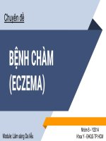 Chuyên đề chàm _ Da liễu