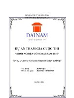 Bài tiểu luận quản trị kinh doanh  Làm đồ handmade từ rơm