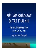 SIÊU ÂM KHẢO SÁT SÁT DỊ DỊ TẬT THAI NHI TẬT THAI NHI Ths. Bs. Trần Mộng ThúyThs. Bs. Trần Mộng Thúy