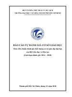 BÁO CÁO TỰ ĐÁNH GIÁ CƠ SỞ GIÁO DỤC Theo tiêu chuẩn đánh giá chất lượng cơ sở giáo dục đại học của Bộ Giáo dục và Đào tạo
