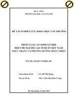 Pháp luật an sinh xã hội đối với người cao tuổi ở việt nam   thực trạng và phương hướng hoàn thiện 