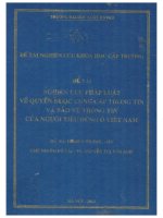 Nghiên cứu pháp luật về quyền được cung cấp thông tin và bảo vệ thông tin của người tiêu dùng ở Việt Nam