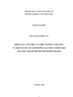 ĐỘNG lực làm VIỆC của điều DƯỠNG lâm SÀNG và một số yếu tố ẢNH HƯỞNG tại VIỆN y dược học dân tộc THÀNH PHỐ hồ CHÍ MINH năm 2019 