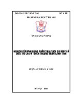 NGHIÊN cứu ỨNG DỤNG PHẪU THUẬT nội SOI một lỗ điều TRỊ các u TUYẾN THƯỢNG THẬN LÀNH TÍNH 