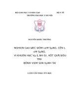 NGHIÊN cứu đặc điểm lâm SÀNG, cận lâm SÀNG, VI KHUẨN học và ĐÁNH GIÁ kết QUẢ điều TRỊ BỆNH VIÊM sụn VÀNH TAI 