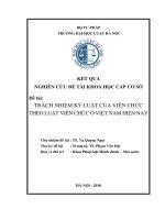 Trách nhiệm kỷ luật của viên chức theo luật viên chức ở việt nam hiện nay  