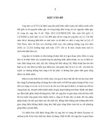 Đánh giá hiệu quả hóa trị bổ trợ trước kết hợp phẫu thuật bảo tồn trên bệnh nhân ung thư vú giai đoạn II 