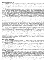 Bài viết TLV số 3 lớp 7