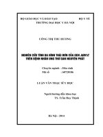 NGHIÊN cứu TÍNH đa HÌNH THÁI đơn của GEN ADH1C TRÊN BỆNH NHÂN UNG THƯ GAN NGUYÊN PHÁT 