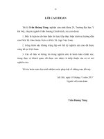 NGHIÊN cứu ỨNG DỤNG PHẪU THUẬT nội SOI tái tạo HAI bó dây CHẰNG CHÉO TRƯỚC sử DỤNG gân BÁNH CHÈ ĐỒNG LOẠI 