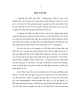 Đa hình  đơn genRTEL1 trên bệnh nhân u nguyên bào thần kinh đệm 