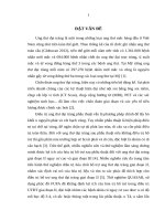 ĐÁNH GIÁ kết QUẢ hóa TRỊ bổ TRỢ PHÁC đồ XELOX TRONG UNG THƯ BIỂU mô TUYẾN đại TRÀNG GIAI đoạn II, III 