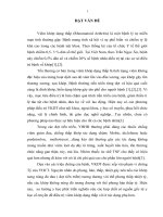 ĐÁNH GIÁ tác DỤNG hỗ TRỢ điều TRỊ của VIÊN NANG CỨNG REGIMUNE TRÊN BỆNH NHÂN VIÊM KHỚP DẠNG THÂP GIAI đoạn i II (THỂ PHONG THẤP NHIỆT tý) 