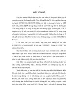 Đánh giá hiệu quả erlotinib (tarceva) trong điều trị ung thư phổi không tế bào nhỏ di căn não 