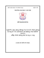 NGHIÊN cứu ỨNG DỤNG tạo HÌNH đốt SỐNG BẰNG bơm CEMENT có BÓNG CHO BỆNH NHÂN xẹp đốt SỐNG DO LOÃNG XƯƠNG 