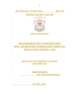 MÔ HÌNH BỆNH tật và PHƯƠNG PHÁPĐIỀU TRỊ BỆNH NHI tại BỆNH VIỆN CHÂM CỨUTRUNG ƯƠNGNĂM 2011  2012 