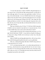 Nghiên cứu đặc điểm hình ảnh và giá trị của cộng hưởng từ 1 5 tesla trong chẩn đoán u tế bào thần kình đệm ít nhánh trên lều 