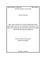 Thực trạng pháp luật về hạn chế rủi ro trong hoạt động cho vay của ngân hàng thương mại và thực tiễn thi hành tại ngân hàng TMCP phát triển thành phố hồ chí minh (HDBank)  