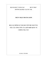 Bộ luật hình sự năm 2015 với việc đáp ứng yêu cầu công ước của liên hợp quốc về chống tra tấn  