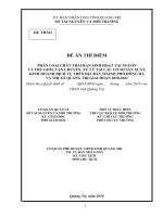 ĐỀ ÁN PHÂN LOẠI CHẤT THẢI RẮN SINH HOẠT TẠI NGUỒN VÀ THU GOM, VẬN CHUYỂN, XỬ LÝ TẠI CÁC CƠ SỞ SẢN XUẤT, KINH DOANH DỊCH VỤ TRÊN ĐỊA BÀN THÀNH PHỐ ĐÔNG HÀ VÀ THỊ XÃ QUẢNG TRỊ