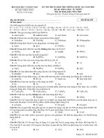 Đề thi môn Hóa THPT Quốc gia 2018 của Bộ GDĐT mã đề 205