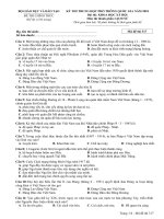 Đề thi môn Sinh học THPT Quốc gia 2018 của Bộ GDĐT mã đề 317