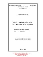 Quản trị rủi ro tài chính của doanh nghiệp Việt Nam (LA TIẾN SĨ)